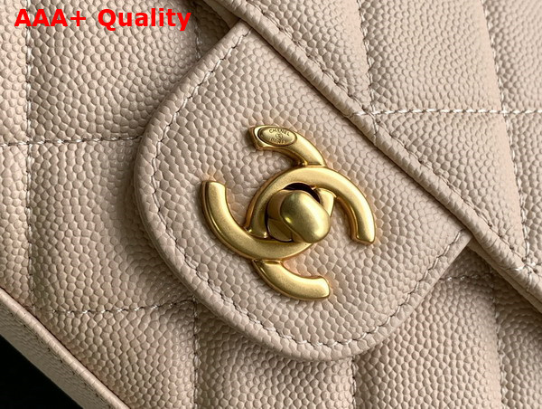 Chanel Mini Flap Bag Grained Calfskin Gold Tone Metal Beige AS5239 Replica
