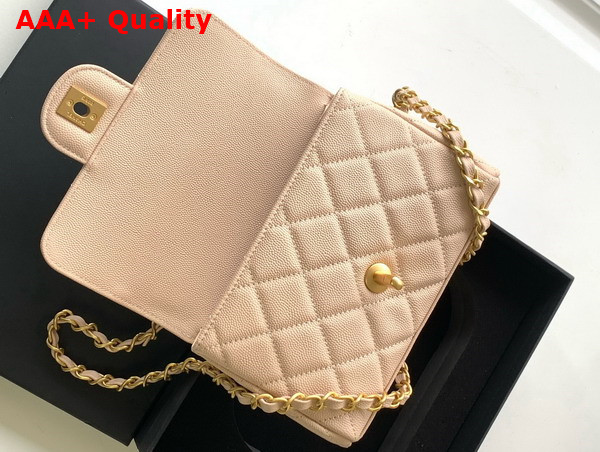 Chanel Mini Flap Bag Grained Calfskin Gold Tone Metal Beige AS5239 Replica