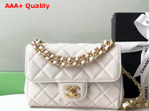 Chanel Mini Flap Bag Grained Calfskin Gold Tone Metal White AS5239 Replica