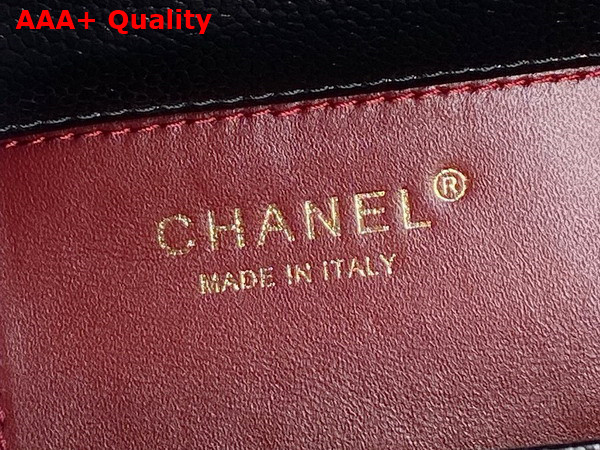 Chanel Mini Flap Bag in Black Grained Shiny Calfskin Gold Tone Metal AS5218 Replica