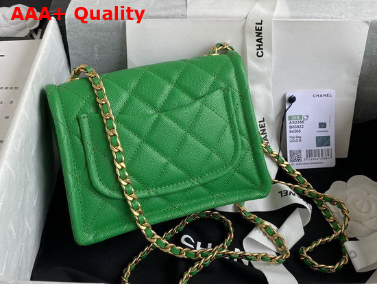 Chanel Mini Flap Bag in Green Grained Calfskin with Gold Metal Replica