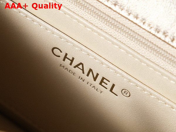 Chanel Mini Flap Bag in Light Gold Metallized Braided Calfskin Gold Tone Metal AS4797 Replica