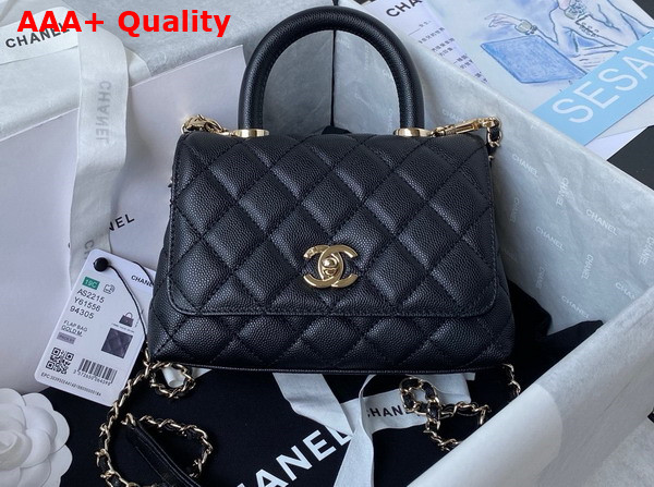 Chanel Mini Flap Bag with Top Handle Black Grained Calfskin Gold Tone Metal AS2215 Replica