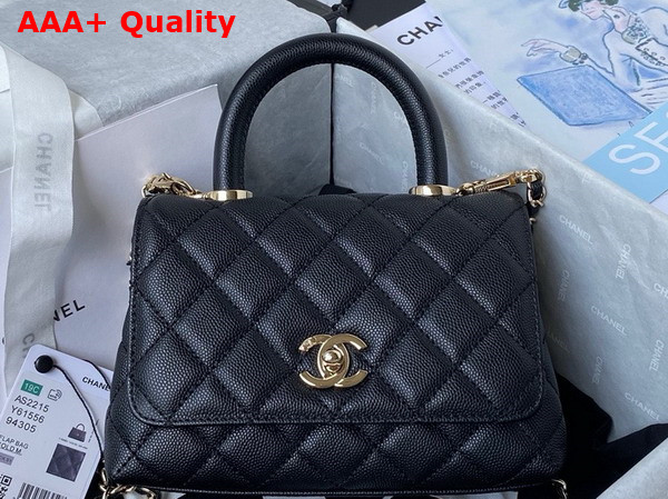 Chanel Mini Flap Bag with Top Handle Black Grained Calfskin Gold Tone Metal AS2215 Replica