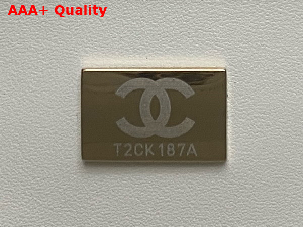 Chanel Small Box Bag Lambskin Gold Tone Metal White AS5167 Replica