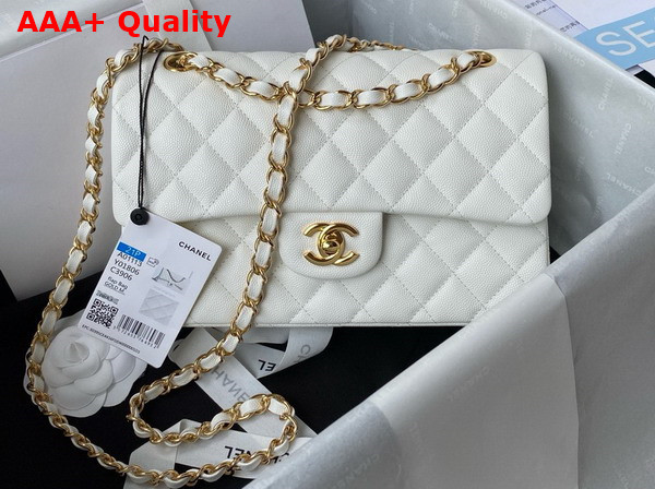 Chanel Small Classic Handbag in White Grained Calfskin and Gold Tone Metal A01113 Replica