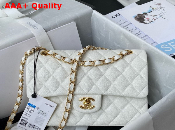 Chanel Small Classic Handbag in White Grained Calfskin and Gold Tone Metal A01113 Replica