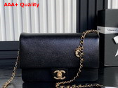 Chanel Small Flap Bag Grained Shiny Calfskin Gold Tone Metal Black AS5186 Replica