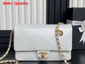 Chanel Small Flap Bag Grained Shiny Calfskin Gold Tone Metal White AS5186 Replica