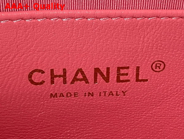Chanel Small Flap Bag in Pink Lambskin Plexi Gold Tone Metal AS3986 Replica