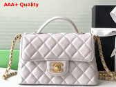 Chanel Small Flap Bag with Top Handle Light Grey Lambskin Gold Tone Metal AS5355 Replica