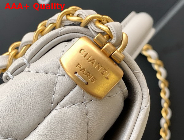 Chanel Small Flap Bag with Top Handle Light Grey Lambskin Gold Tone Metal AS5355 Replica