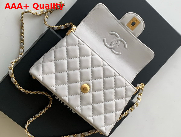 Chanel Small Flap Bag with Top Handle Light Grey Lambskin Gold Tone Metal AS5355 Replica