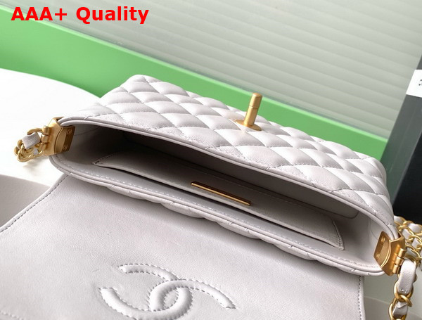 Chanel Small Flap Bag with Top Handle Light Grey Lambskin Gold Tone Metal AS5355 Replica