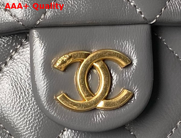 Chanel Small Flap Bag with Top Handle in Gray Shiny Lambskin Gold Tone Metal AS4993 Replica