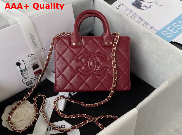 Chanel Small Vanity Case Burgundy Calfskin Gold Tone Metal AS3344 Replica