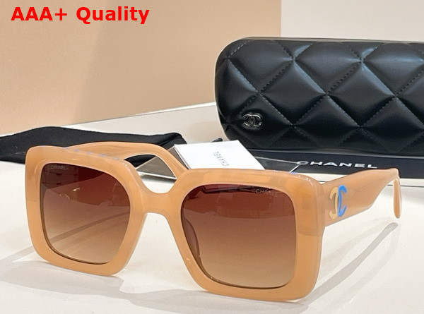 Chanel Square Sunglasses Havana Acetate Replica
