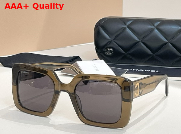 Chanel Square Sunglasses Havana Acetate Replica
