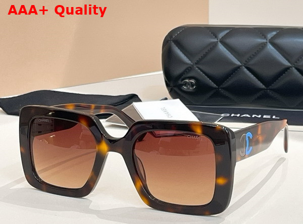 Chanel Square Sunglasses Havana Acetate Replica