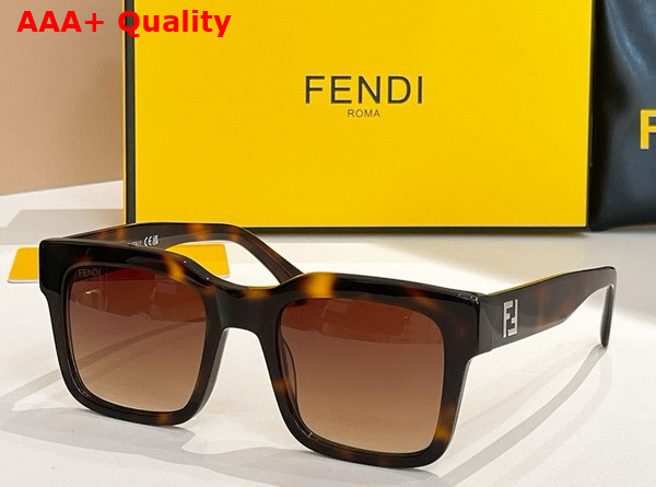 Fenid Square Sunglasses Havana Acetate Replica