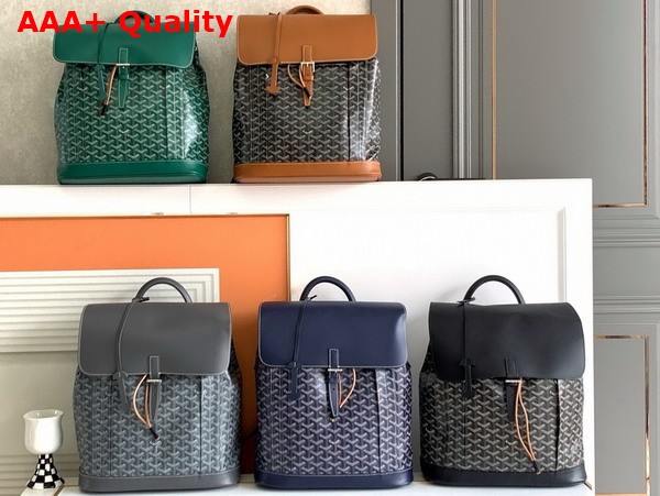 Goyard Cisalpin Backpack in Black Goyardine Canvas and Chevroches Calfskin Replica
